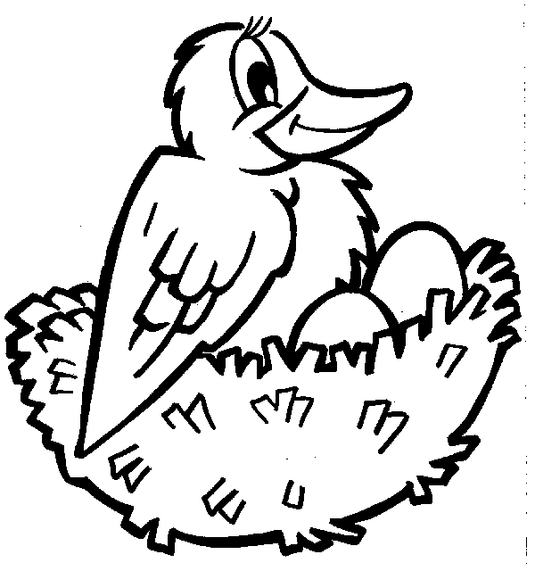 Coloring page: Birds (Animals) #11958 - Free Printable Coloring Pages