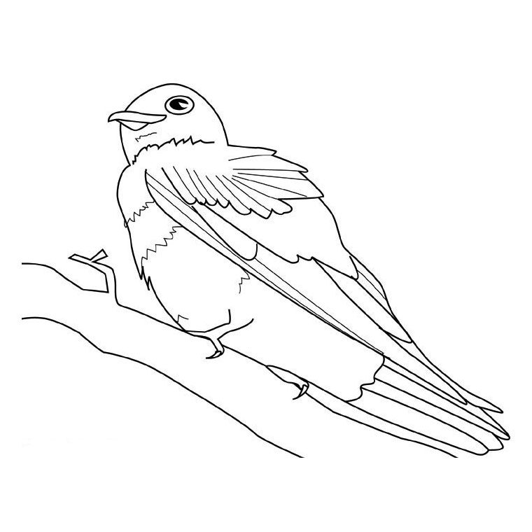 Coloring page: Birds (Animals) #11962 - Free Printable Coloring Pages