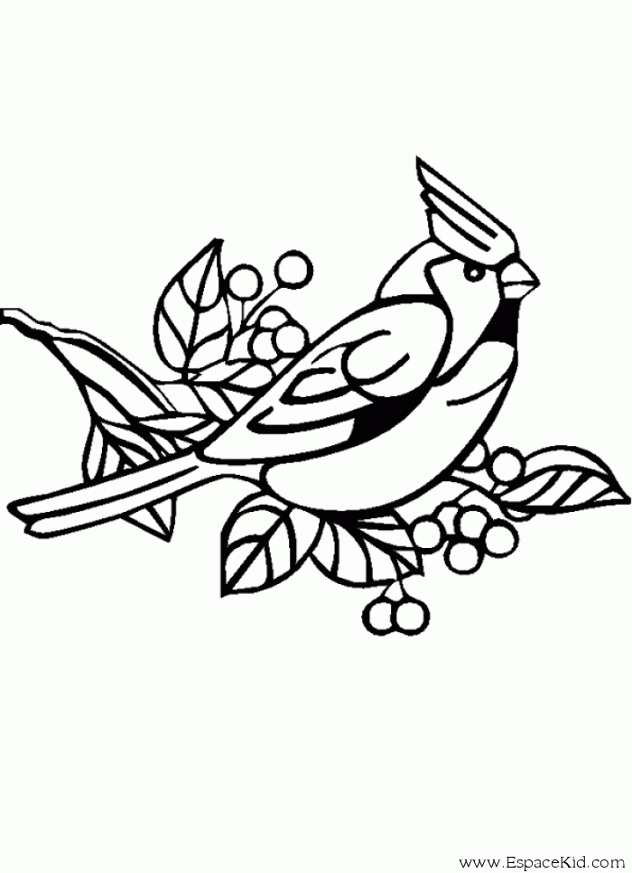 Coloring page: Birds (Animals) #11969 - Free Printable Coloring Pages