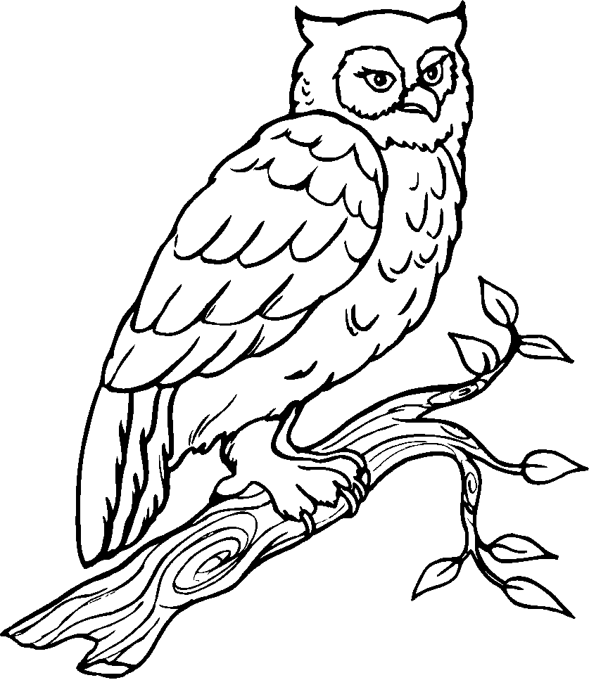 Coloring page: Birds (Animals) #11974 - Free Printable Coloring Pages