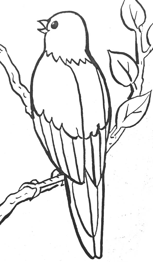Coloring page: Birds (Animals) #11976 - Free Printable Coloring Pages