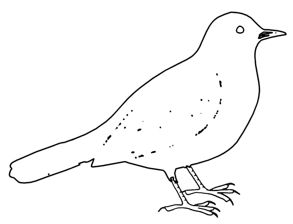Coloring page: Birds (Animals) #11977 - Free Printable Coloring Pages