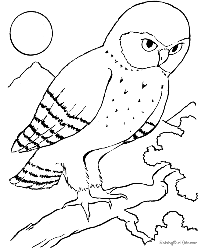 Coloring page: Birds (Animals) #11990 - Printable coloring pages