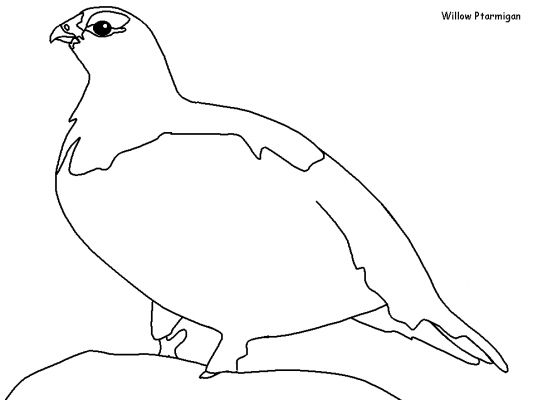 Coloring page: Birds (Animals) #11991 - Free Printable Coloring Pages