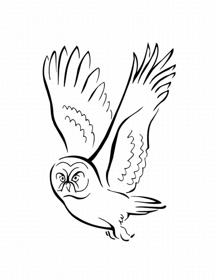 Coloring page: Birds (Animals) #11992 - Free Printable Coloring Pages