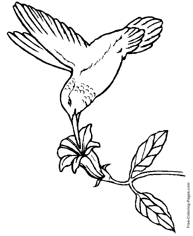 Coloring page: Birds (Animals) #11994 - Printable coloring pages