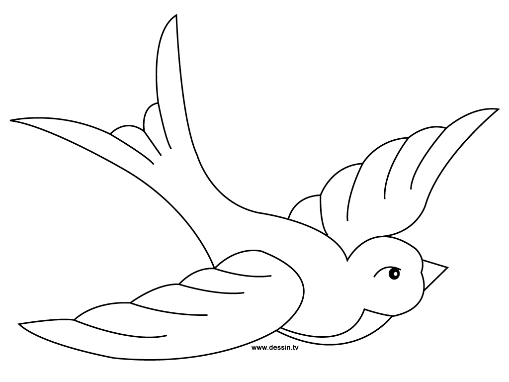 Coloring page: Birds (Animals) #11998 - Printable coloring pages