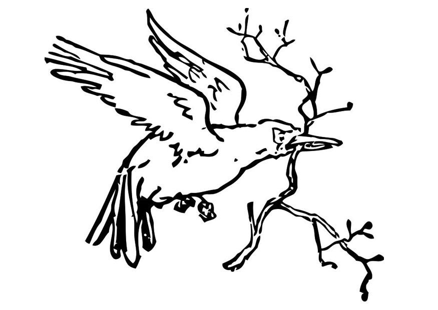 Coloring page: Birds (Animals) #12006 - Printable coloring pages