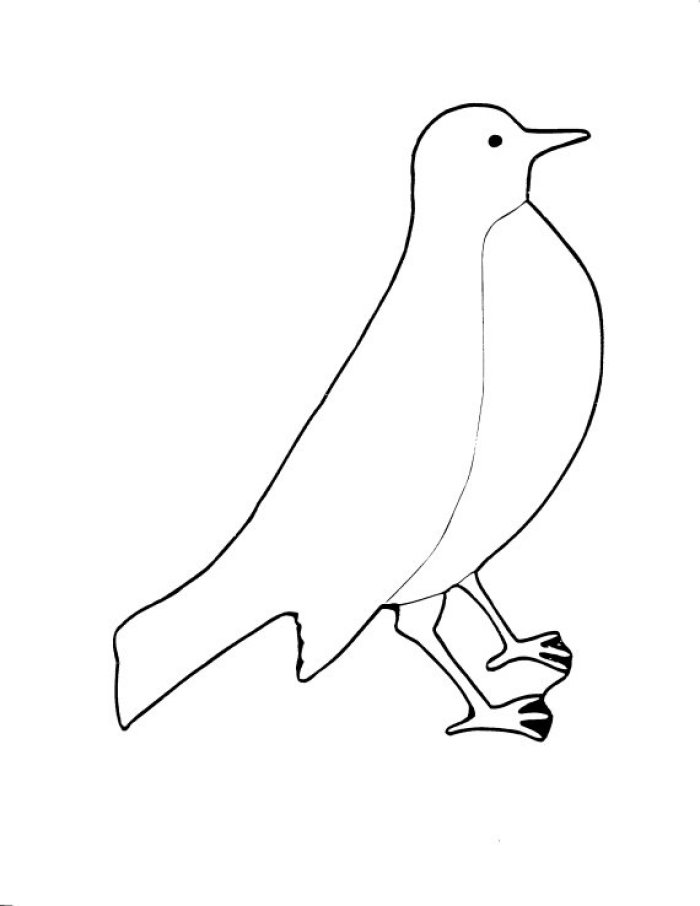 Coloring page: Birds (Animals) #12011 - Free Printable Coloring Pages