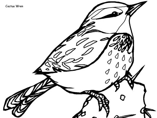 Coloring page: Birds (Animals) #12026 - Free Printable Coloring Pages