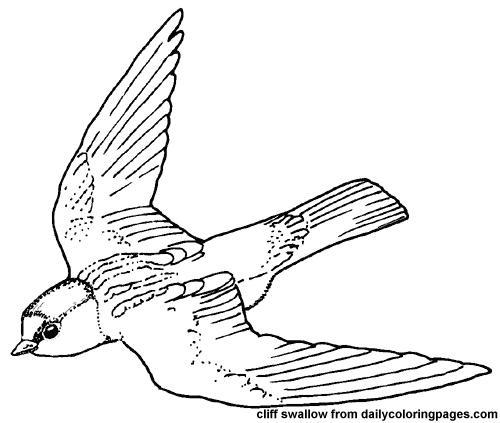 Coloring page: Birds (Animals) #12029 - Free Printable Coloring Pages