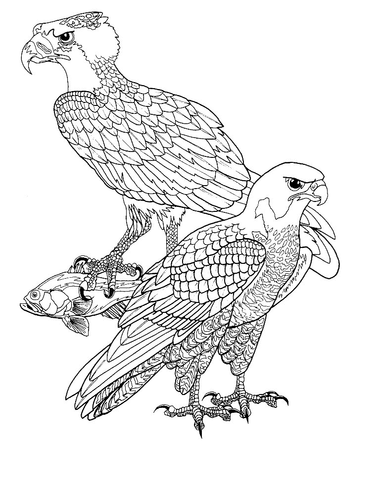 Coloring page: Birds (Animals) #12053 - Free Printable Coloring Pages