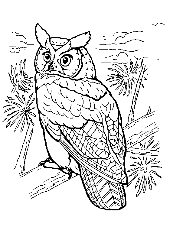 Coloring page: Birds (Animals) #12054 - Free Printable Coloring Pages