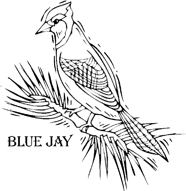 Coloring page: Birds (Animals) #12062 - Free Printable Coloring Pages