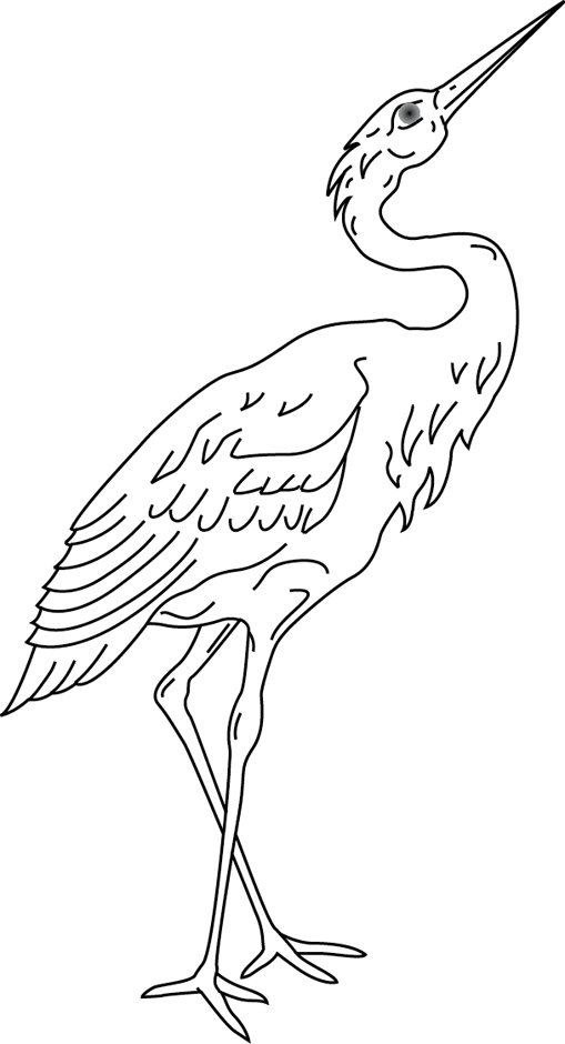 Coloring page: Birds (Animals) #12067 - Free Printable Coloring Pages