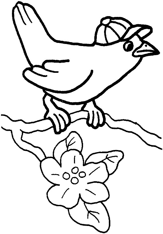 Coloring page: Birds (Animals) #12070 - Free Printable Coloring Pages