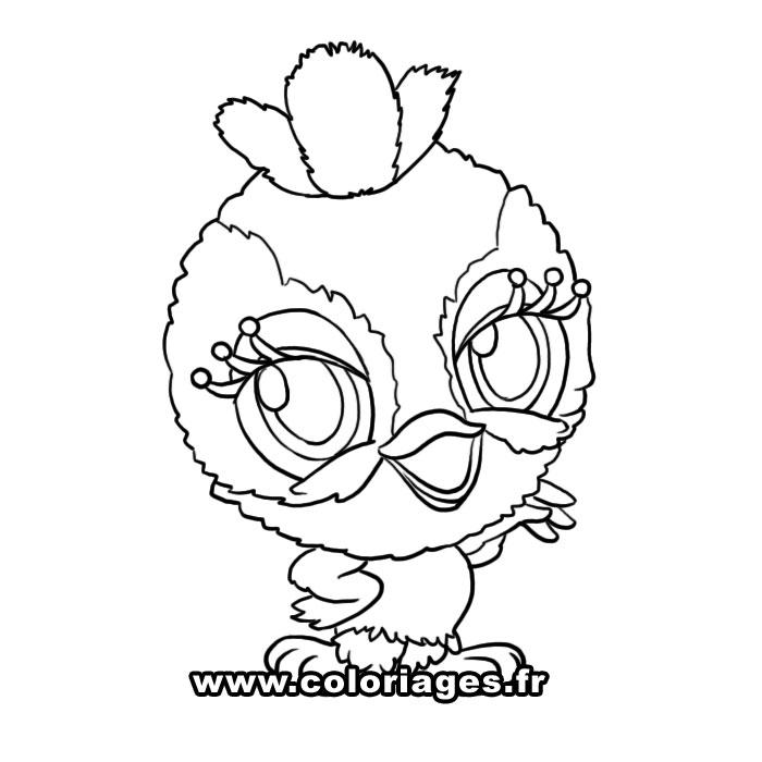 Coloring page: Birds (Animals) #12074 - Printable coloring pages