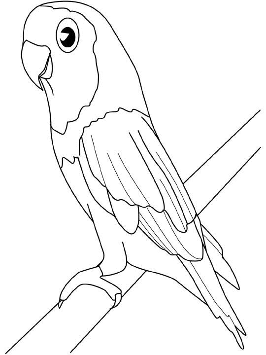 Coloring page: Birds (Animals) #12084 - Free Printable Coloring Pages