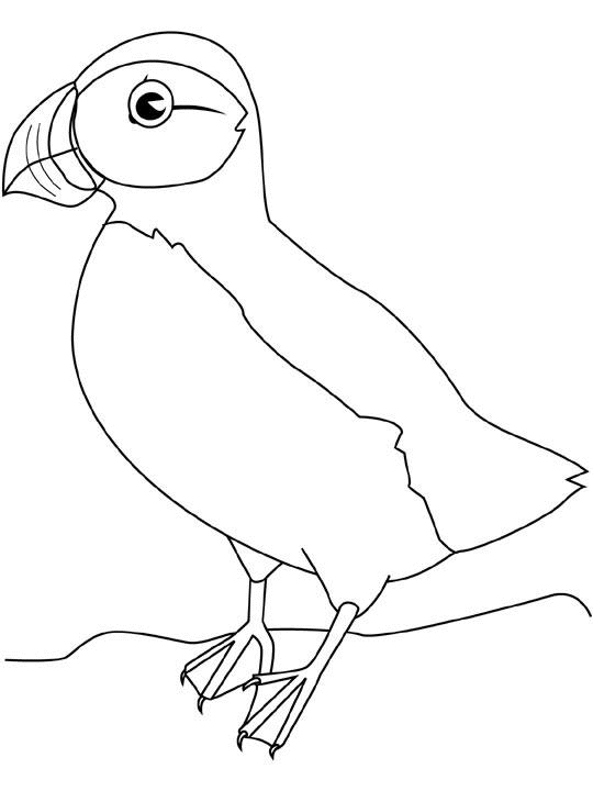 Drawing Birds #12098 (Animals) – Printable coloring pages