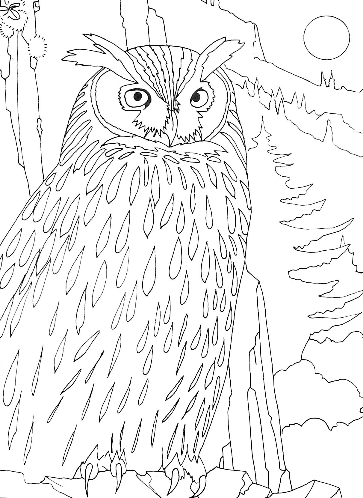 Coloring page: Birds (Animals) #12110 - Free Printable Coloring Pages