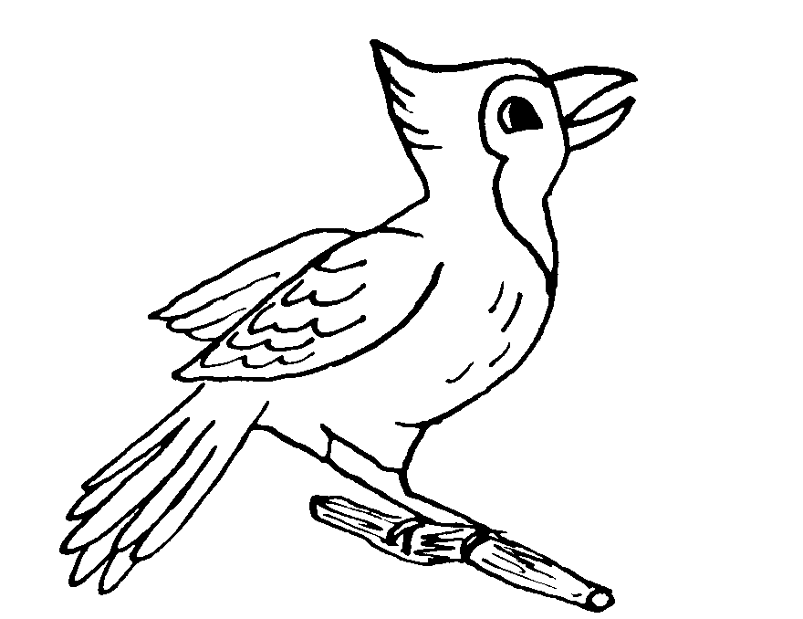 Coloring page: Birds (Animals) #12112 - Free Printable Coloring Pages