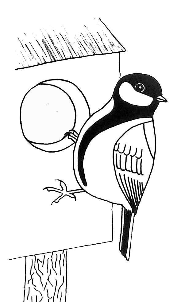 Coloring page: Birds (Animals) #12125 - Free Printable Coloring Pages