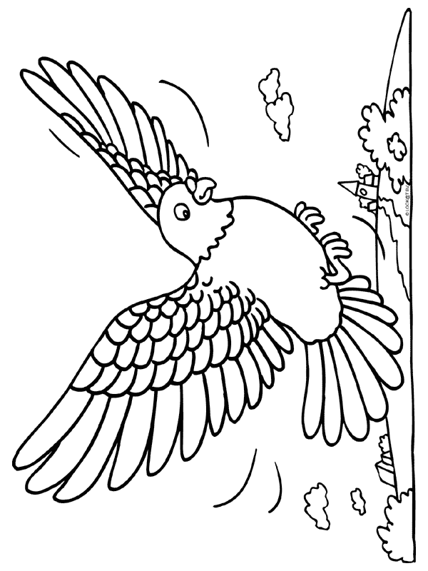 Coloring page: Birds (Animals) #12132 - Free Printable Coloring Pages