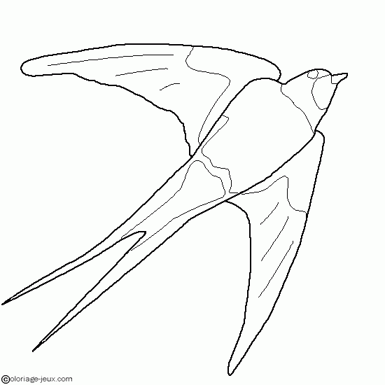 Coloring page: Birds (Animals) #12135 - Free Printable Coloring Pages