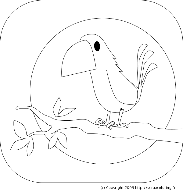 Coloring page: Birds (Animals) #12139 - Free Printable Coloring Pages