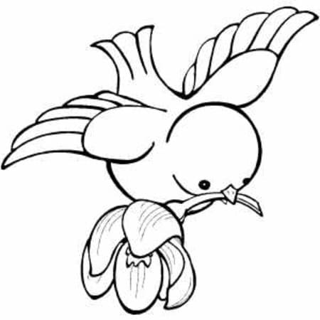 Free printable Birds coloring page #174998 from Animals collection