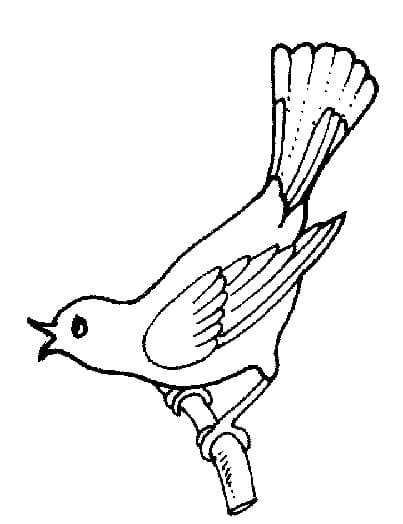 Free printable Birds coloring page #175007 from Animals collection Free printable Birds coloring page #175007 from Animals collection