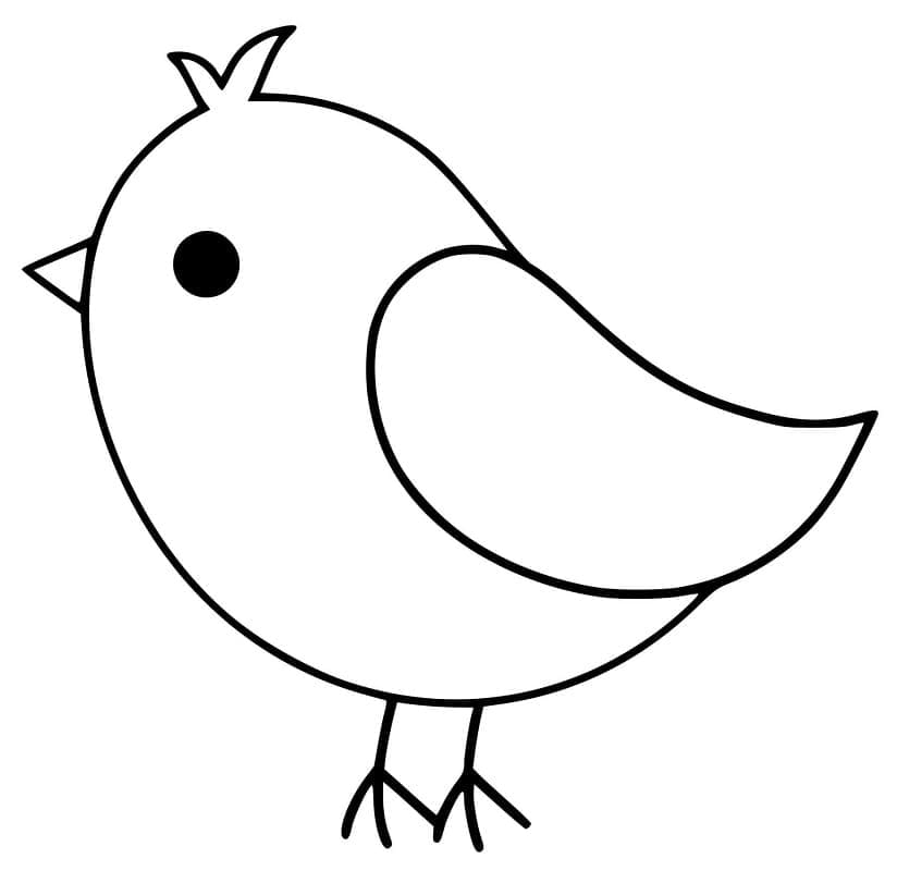 Free printable Birds coloring page #175011 from Animals collection Free printable Birds coloring page #175011 from Animals collection