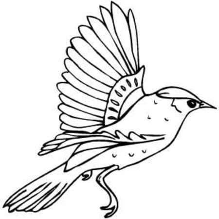 Free printable Birds coloring page #175012 from Animals collection