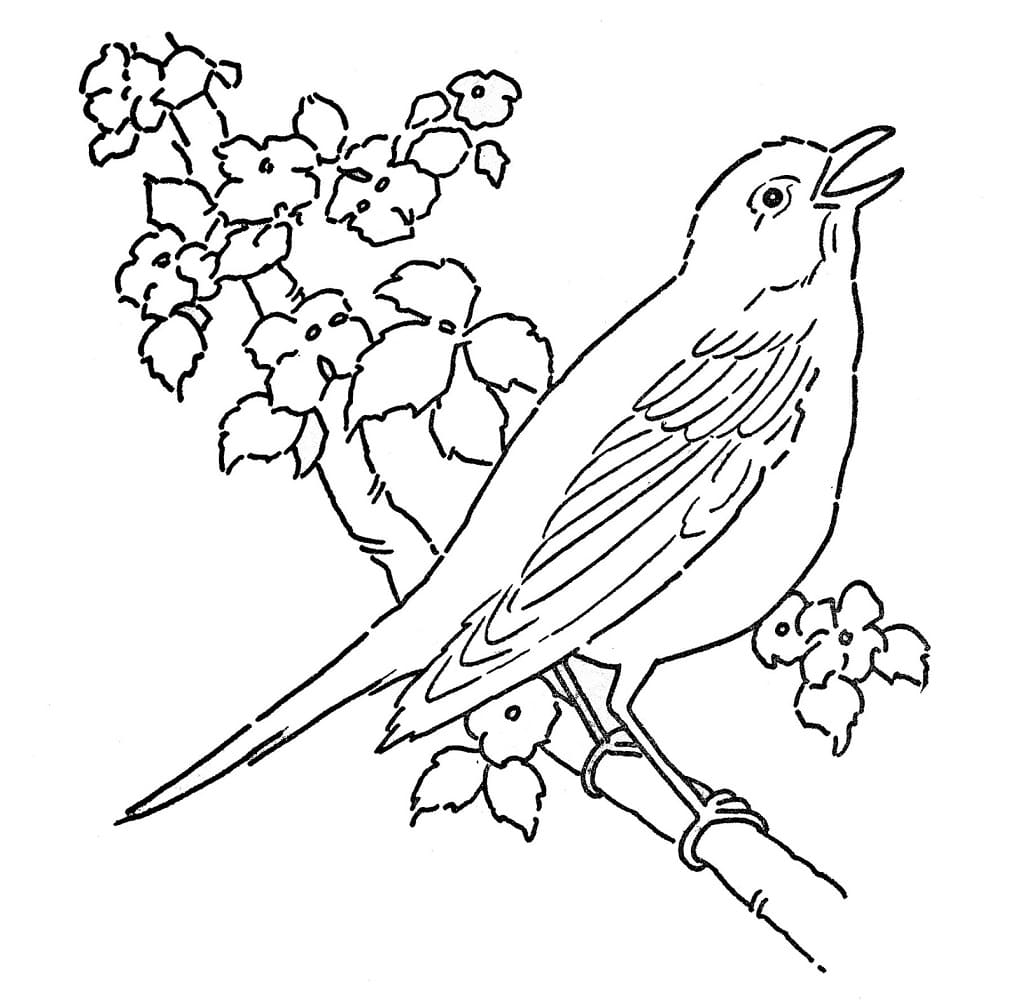 Free printable Birds coloring page #175020 from Animals collection