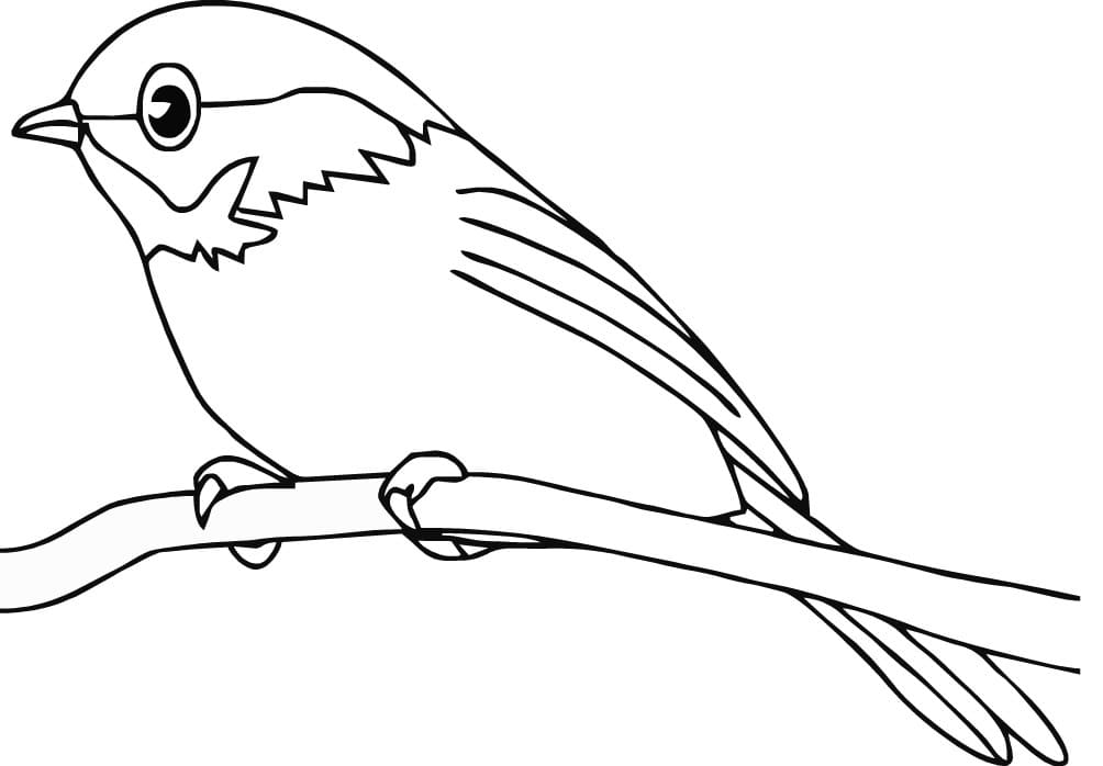 Free printable Birds coloring page #175022 from Animals collection