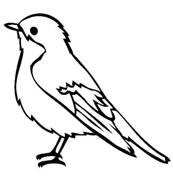 Free printable Birds coloring page #175023 from Animals collection