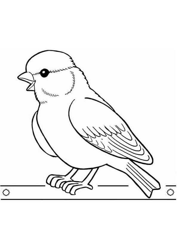 Free printable Birds coloring page #215820 from Animals collection