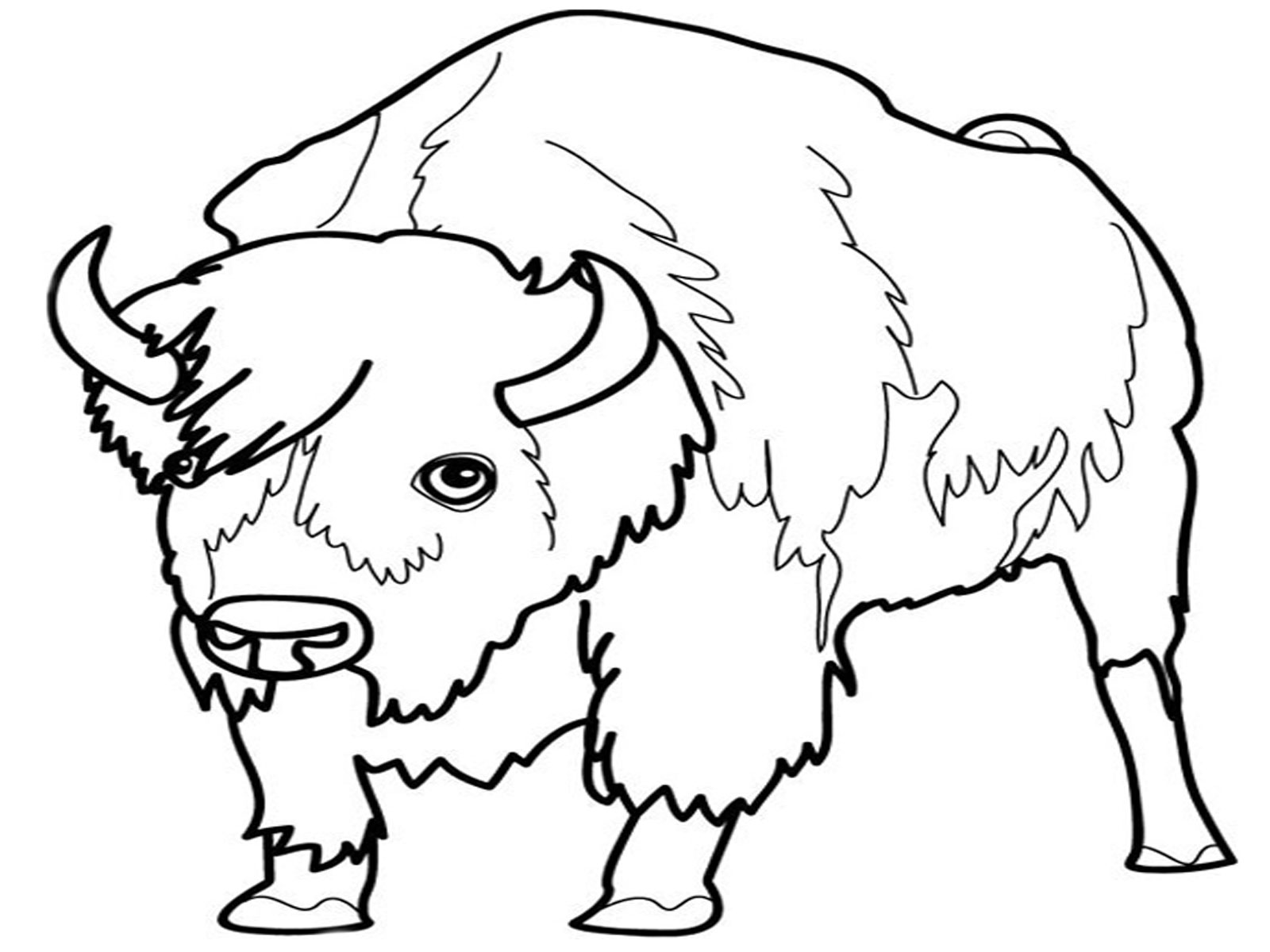Coloring page: Bison (Animals) #1201 - Free Printable Coloring Pages