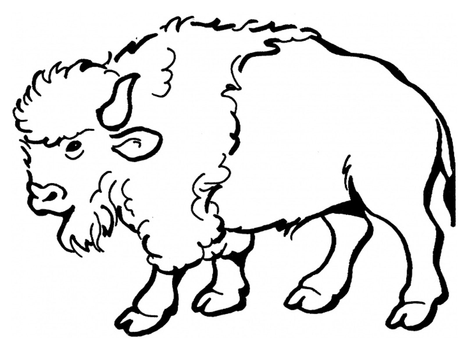 Free printable Bison (Buffalo) coloring page #1190 from Animals collection