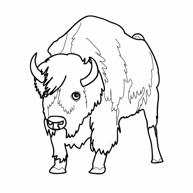 Free printable Bison (Buffalo) coloring page #1192 from Animals collection