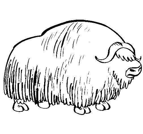 Free printable Bison (Buffalo) coloring page #1200 from Animals collection