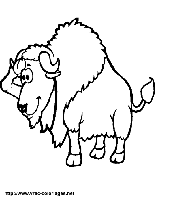 Free printable Bison (Buffalo) coloring page #1203 from Animals collection