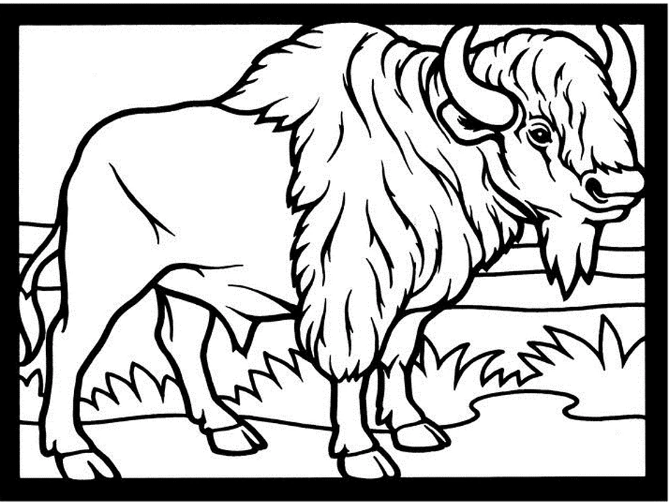 Free printable Bison (Buffalo) coloring page #1228 from Animals collection