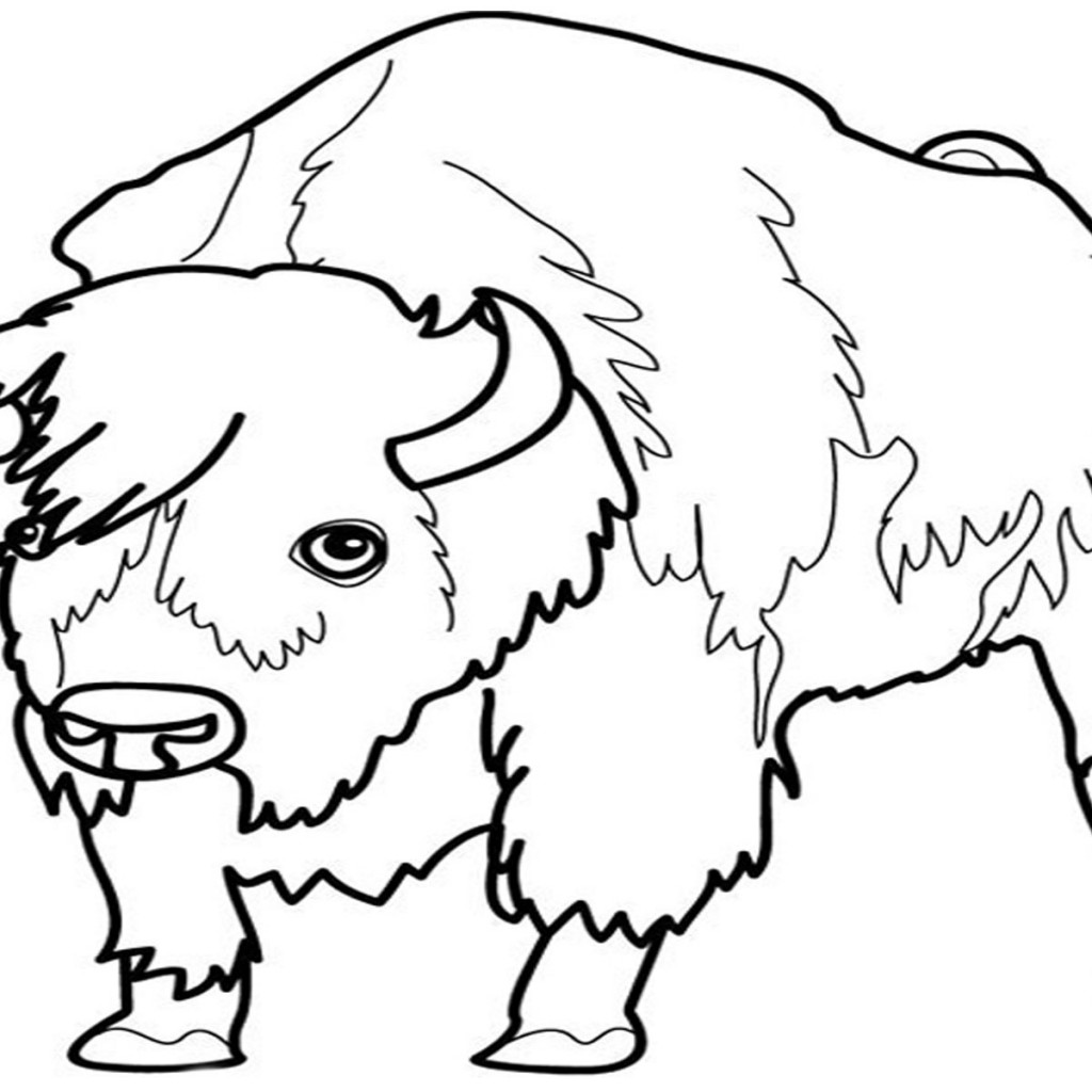 Free printable Bison (Buffalo) coloring page #1252 from Animals collection