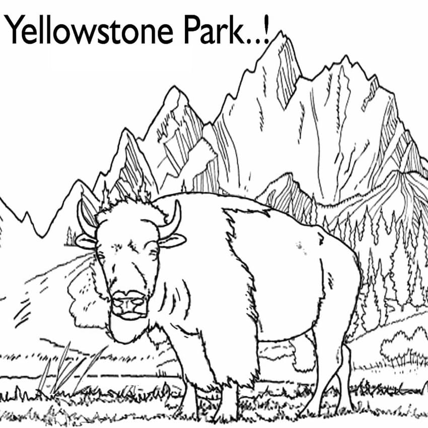Free printable Bison (Buffalo) coloring page #205523 from Animals collection