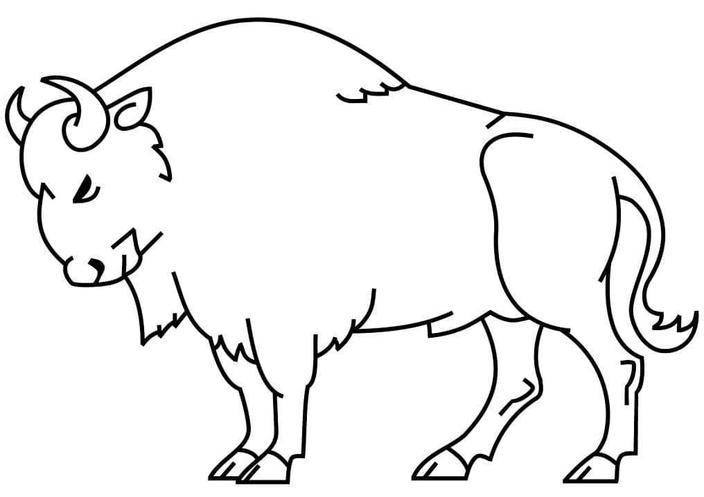 Free printable Bison (Buffalo) coloring page #205524 from Animals collection