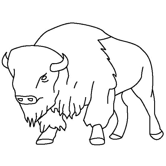 Free printable Bison (Buffalo) coloring page #205526 from Animals collection