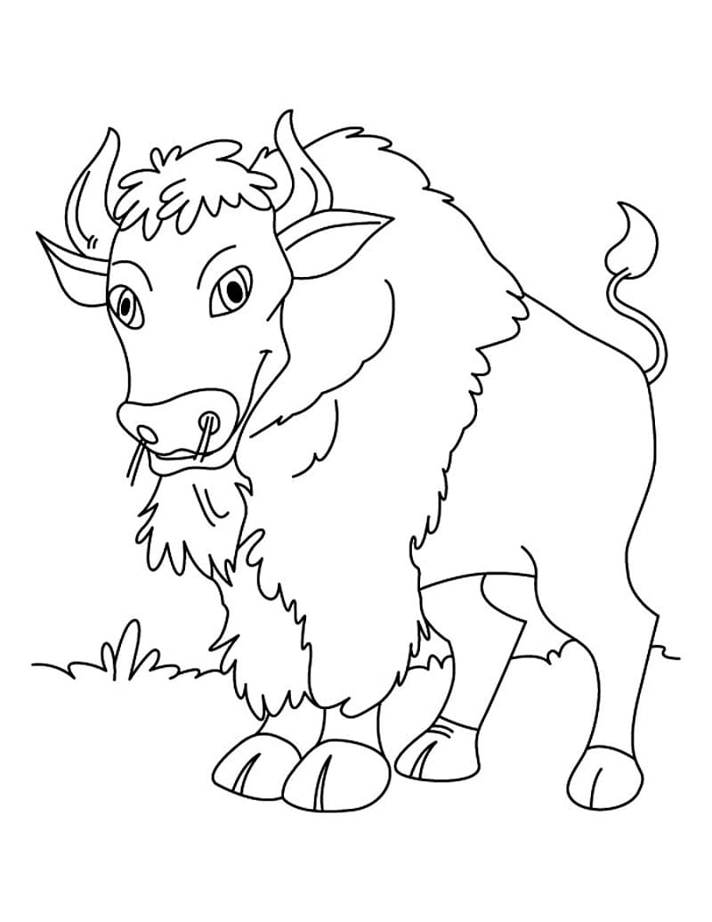 Free printable Bison (Buffalo) coloring page #205528 from Animals collection
