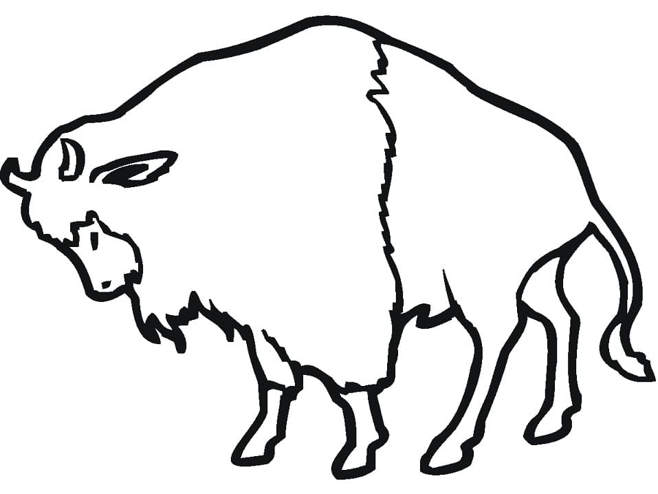 Free printable Bison (Buffalo) coloring page #205538 from Animals collection