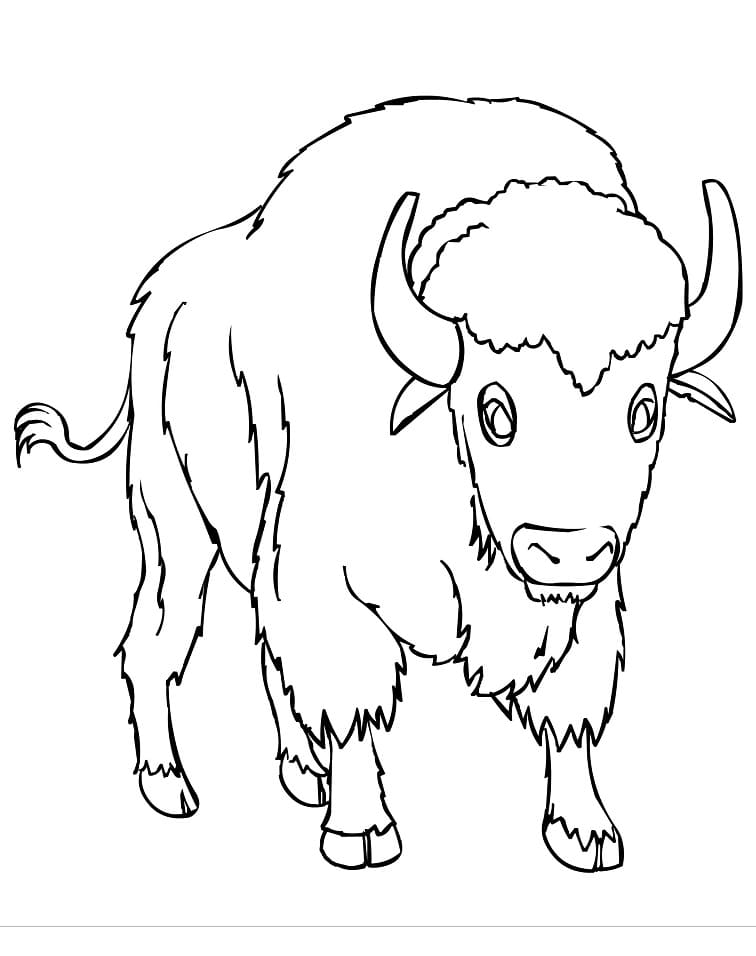 Free printable Bison (Buffalo) coloring page #205540 from Animals collection